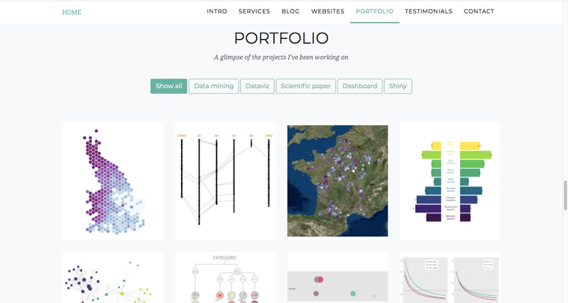 Data Analyst Portfolio