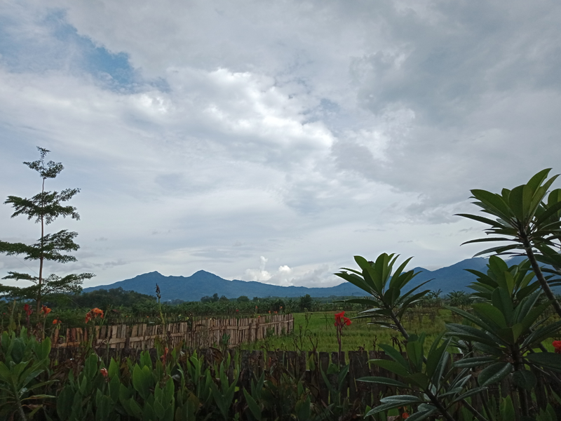 Fenti Yuniarti profile background