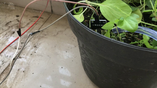 image for Automatic Plant Watering System Using Fuzzy Logic button