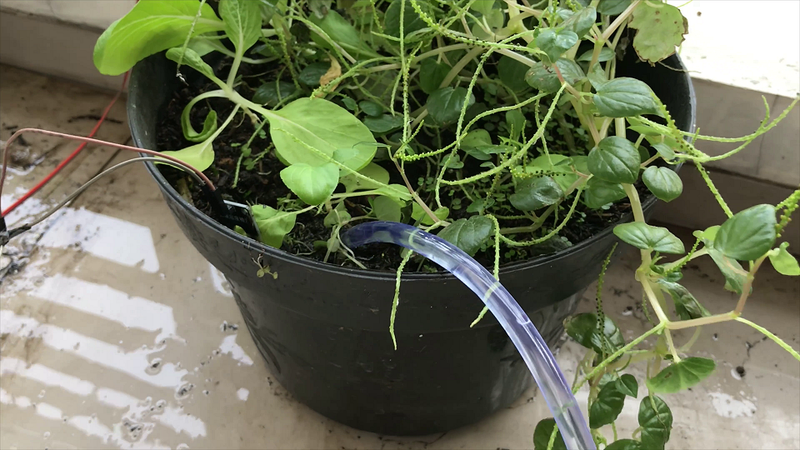 Highlight image for Automatic Plant Watering System Using Fuzzy Logic