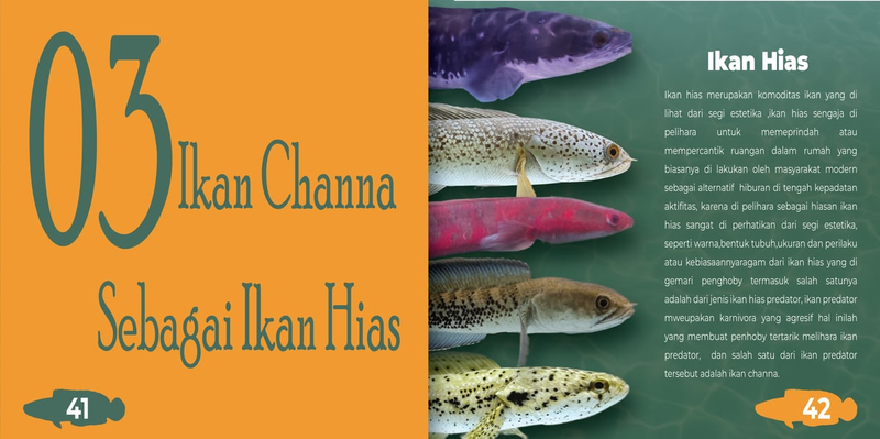 Highlight image for  E- Book - Channapedia (Ensiklopedia Ikan Channa) 