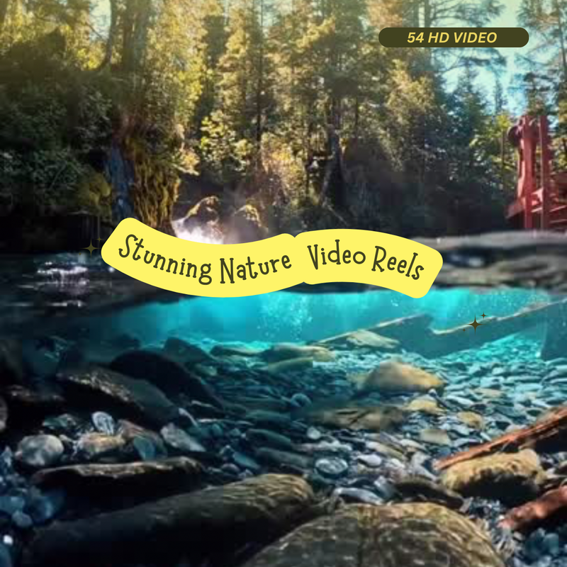 Highlight image for 54 stunning HD Nature Video Reels