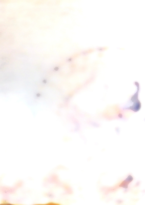 image for Aku Bayi Halusinasi button