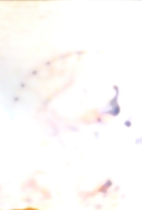 Highlight image 1 for Aku Bayi Halusinasi