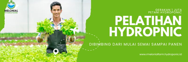 Highlight image 1 for Workshop Hydroponic di Kebun Hydroponic Melonial Farm