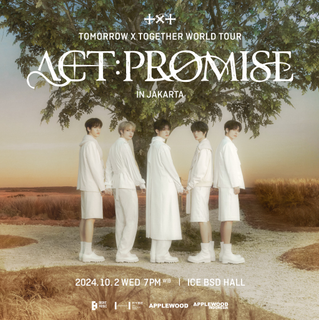 image for TXT: ACT PROMISE button