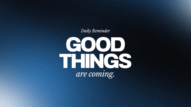 Hazar Maliki H. profile background