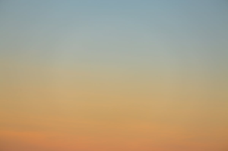 Laifpal profile background