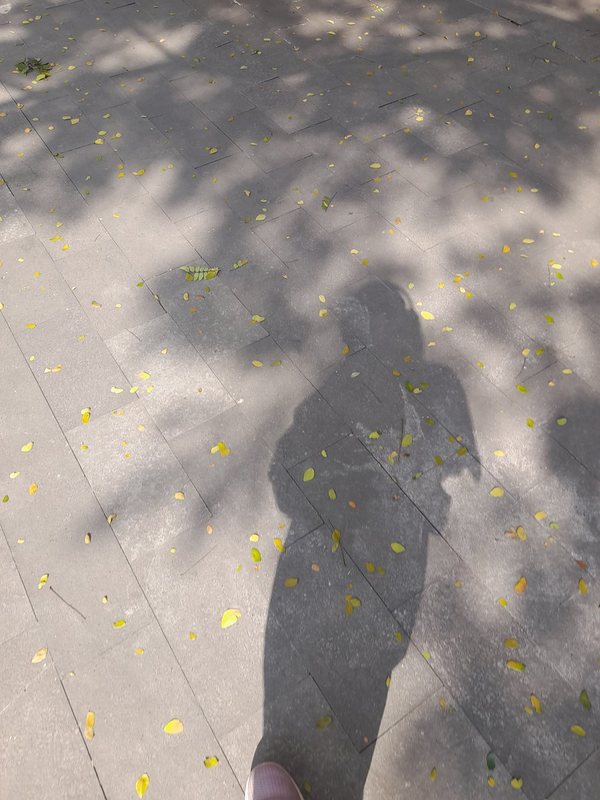 Gracia Aprilliani profile background