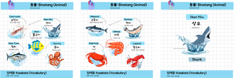 Highlight image for KOREAN VOCABULARY: FLASH CARD