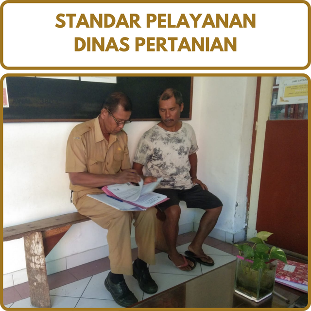 Image for Standar Pelayanan