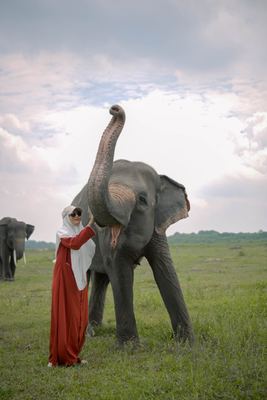 image for Pulau Wayang + WayKambas 29-31 Mei 2026  button