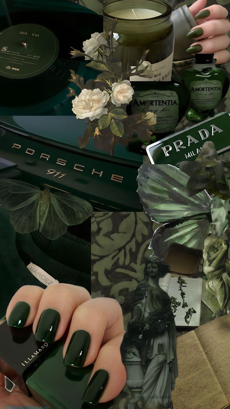 Moranamacaria profile background
