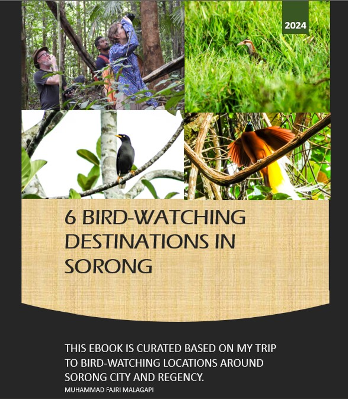 Highlight image 1 for 6 Best Places For Bird-Watching in Sorong for Tourist Information
