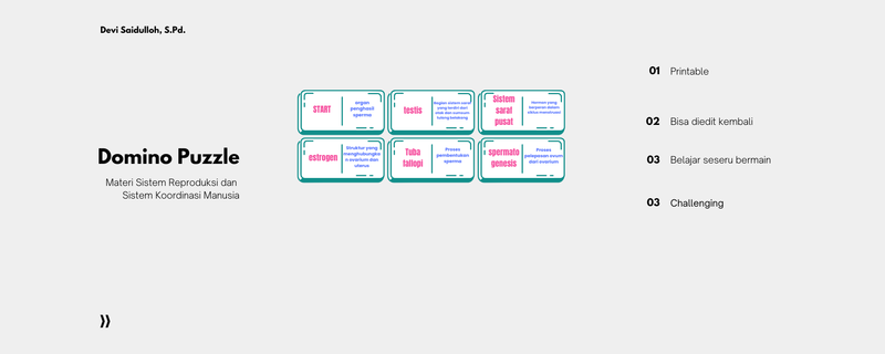 Highlight image for Domino Puzzle - Sistem Reproduksi dan Sistem Koordinasi Manusia