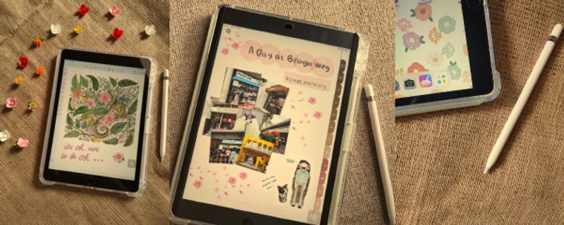 Lis profile background