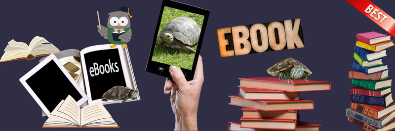 Highlight image 1 for E-Book Kura-kura Brazil Part 1 