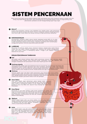 image for Poster IPA siap Print button