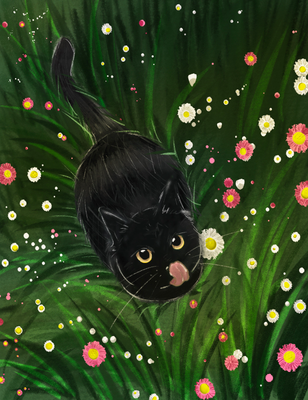 image for See My Visual Playground button