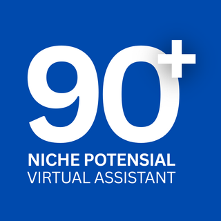 image for 90+ NICHE VA STRATEGIS button