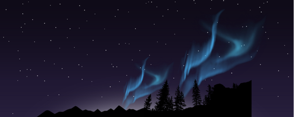 Selfort profile background