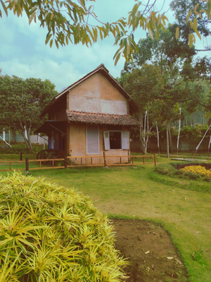 Captured bydev, image 1