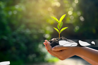 image for Sedekah Subuh Rahasia Rezeki Mengalir button