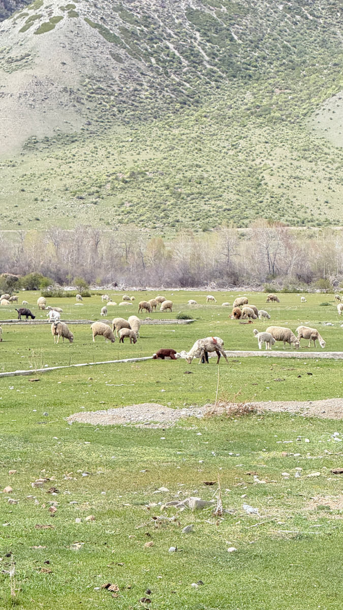 Katarseis profile background