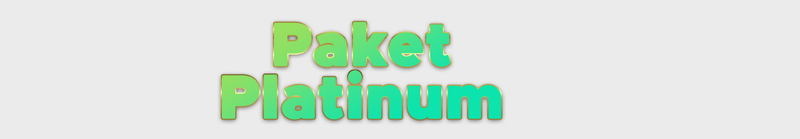 Paket Platinum DSI 26