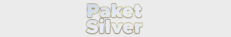 Paket Silver DSI 26