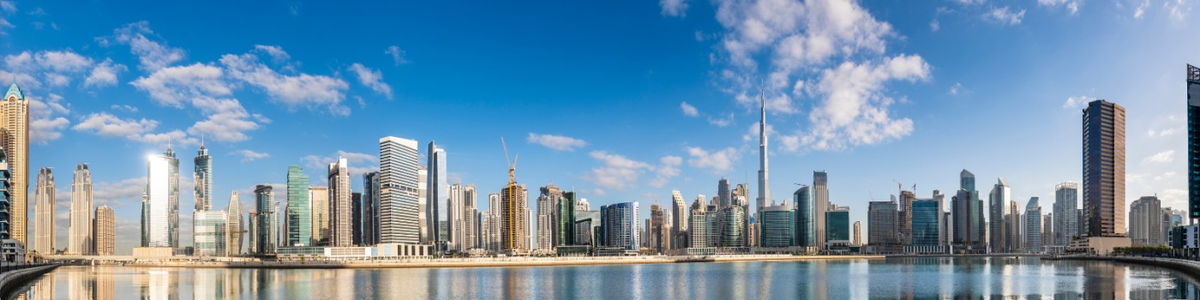 ERP Guide Book profile background