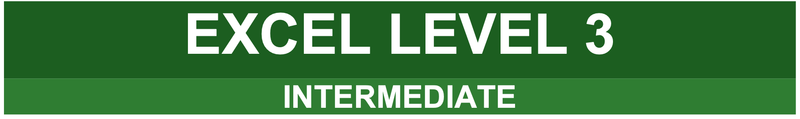 Highlight image for Excel Level 3 Intermediate