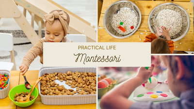 image for Practical Life Montessori Intensif [RECORDED] button