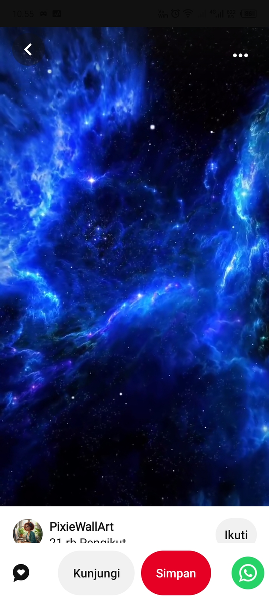 NovaVest  profile background