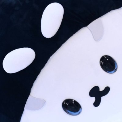 naa. profile image